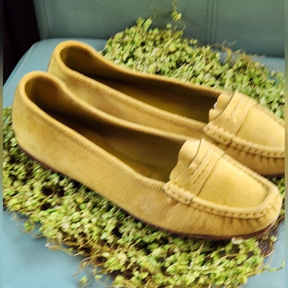 LORO PIANA Celery Chartruese Suede Leather Italy  Ballet Flats Loafers 39 8.5N - Picture 7 of 16